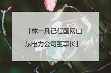 林一凡已任国网山东电力公司董事长