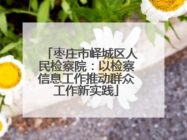 枣庄市峄城区人民检察院：以检察信息工作推动群众工作新实践