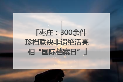 枣庄：300余件珍档联袂非遗绝活亮相“国际档案日”
