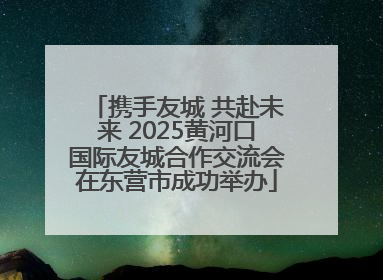 携手友城 共赴未来 2025黄河口国际友城合作交流会在东营市成功举办