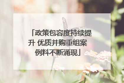 政策包容度持续提升 优质并购重组案例料不断涌现