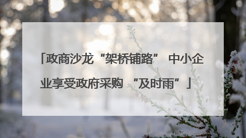 政商沙龙“架桥铺路” 中小企业享受政府采购 “及时雨”