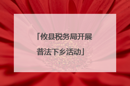 攸县税务局开展普法下乡活动