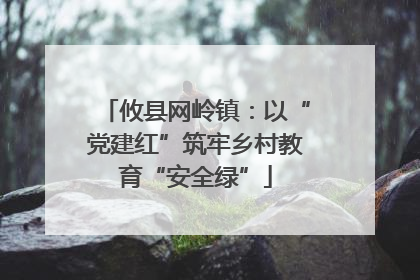 攸县网岭镇：以“党建红”筑牢乡村教育“安全绿”