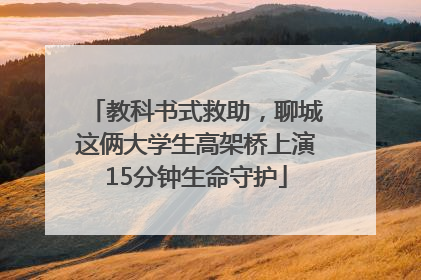 教科书式救助，聊城这俩大学生高架桥上演15分钟生命守护