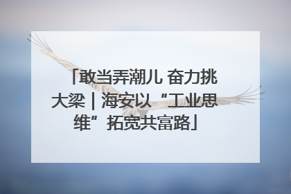 敢当弄潮儿 奋力挑大梁｜海安以“工业思维”拓宽共富路