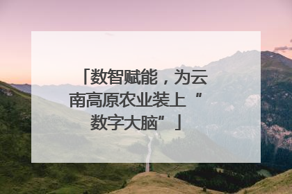 数智赋能，为云南高原农业装上“数字大脑”