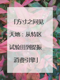 方寸之间见天地：从特区试验田到提振消费引擎