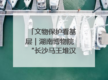 文物保护看基层｜湖南博物院“长沙马王堆汉墓陈列”展
