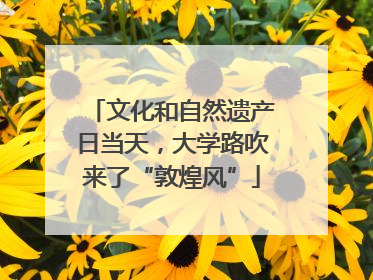 文化和自然遗产日当天,大学路吹来了“敦煌风”