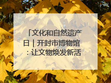 文化和自然遗产日｜开封市博物馆：让文物焕发新活力绽放新光彩