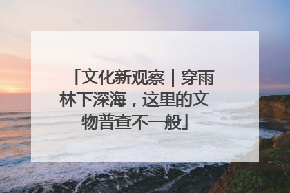 文化新观察｜穿雨林下深海，这里的文物普查不一般