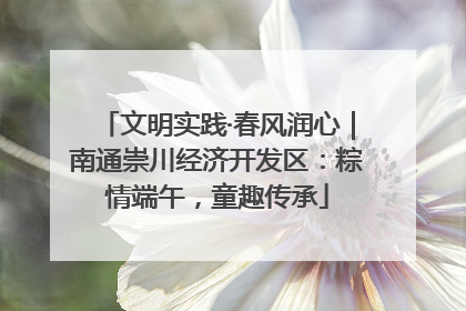 文明实践·春风润心｜南通崇川经济开发区：粽情端午，童趣传承