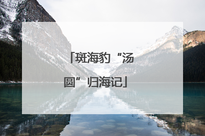 斑海豹“汤圆”归海记
