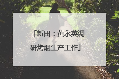 新田：黄永英调研烤烟生产工作