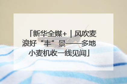 新华全媒+｜风吹麦浪好“丰”景——多地小麦机收一线见闻