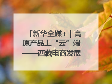 新华全媒+｜高原产品上“云”端——西藏电商发展一线观察