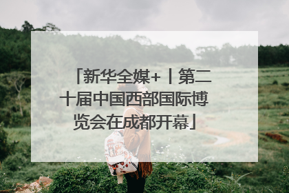 新华全媒+丨第二十届中国西部国际博览会在成都开幕