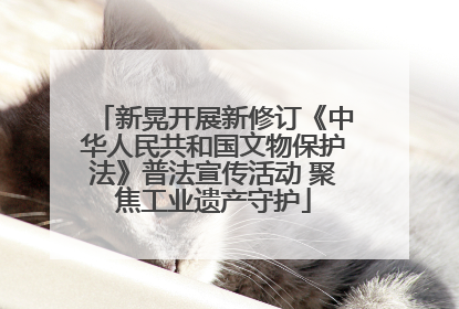 新晃开展新修订《中华人民共和国文物保护法》普法宣传活动 聚焦工业遗产守护