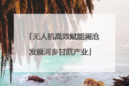 无人机高效赋能澜沧发展河乡甘蔗产业