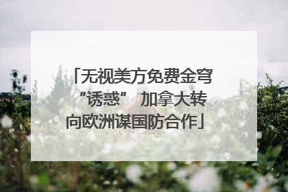 无视美方免费金穹“诱惑” 加拿大转向欧洲谋国防合作