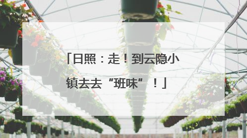 日照：走！到云隐小镇去去“班味”！