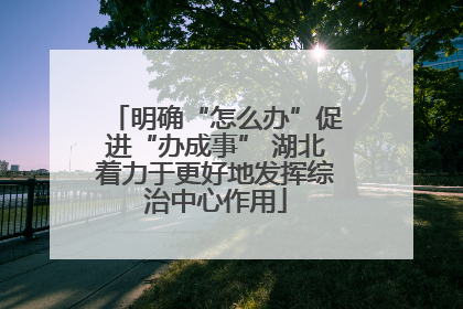 明确“怎么办”促进“办成事” 湖北着力于更好地发挥综治中心作用