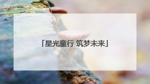 星光童行 筑梦未来