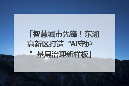 智慧城市先锋！东湖高新区打造“AI守护”基层治理新样板