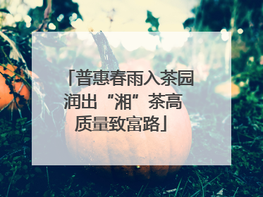 普惠春雨入茶园 润出“湘”茶高质量致富路