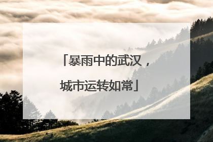 暴雨中的武汉，城市运转如常