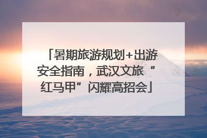 暑期旅游规划+出游安全指南，武汉文旅“红马甲”闪耀高招会