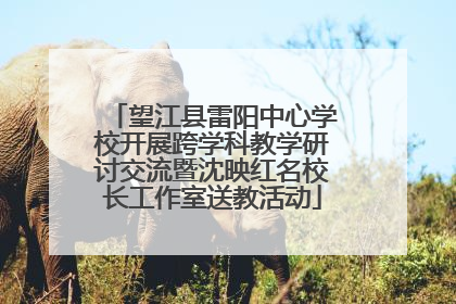 望江县雷阳中心学校开展跨学科教学研讨交流暨沈映红名校长工作室送教活动
