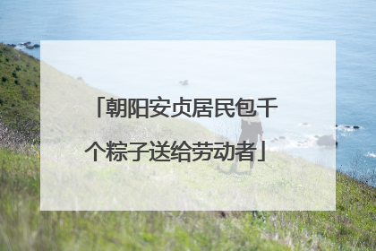 朝阳安贞居民包千个粽子送给劳动者