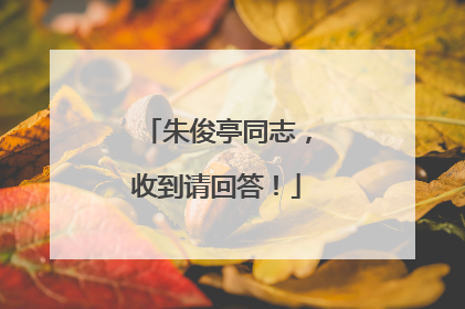 朱俊亭同志，收到请回答！