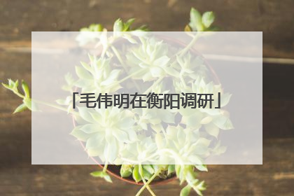 毛伟明在衡阳调研