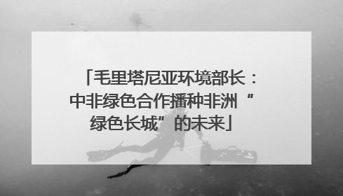毛里塔尼亚环境部长：中非绿色合作播种非洲“绿色长城”的未来