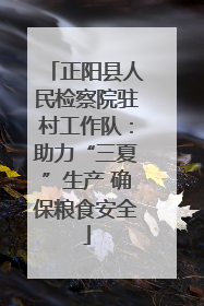 正阳县人民检察院驻村工作队：助力“三夏”生产 确保粮食安全