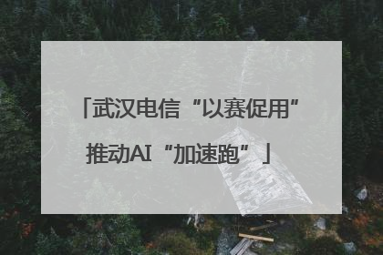 武汉电信“以赛促用”推动AI“加速跑”