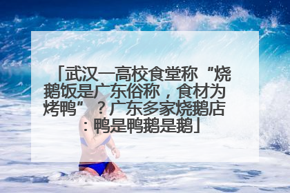 武汉一高校食堂称“烧鹅饭是广东俗称，食材为烤鸭”？广东多家烧鹅店：鸭是鸭鹅是鹅