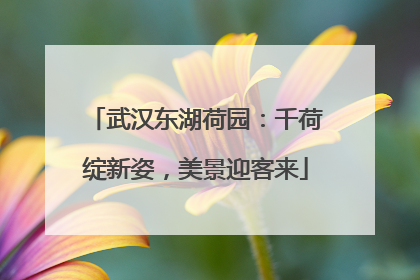 武汉东湖荷园：千荷绽新姿，美景迎客来