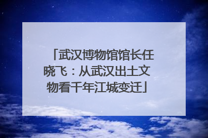 武汉博物馆馆长任晓飞：从武汉出土文物看千年江城变迁