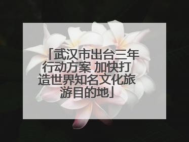武汉市出台三年行动方案 加快打造世界知名文化旅游目的地