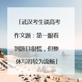 武汉考生谈高考作文题：第一眼看到题目很慌，但整体写得较为流畅