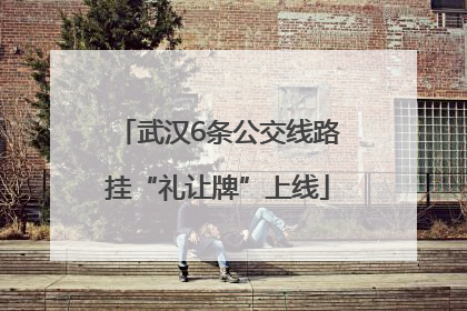 武汉6条公交线路挂“礼让牌”上线