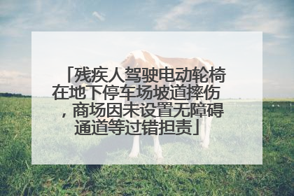 残疾人驾驶电动轮椅在地下停车场坡道摔伤，商场因未设置无障碍通道等过错担责