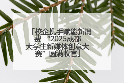 校企携手赋能新消费 “2025成都大学生新媒体创意大赛”圆满收官