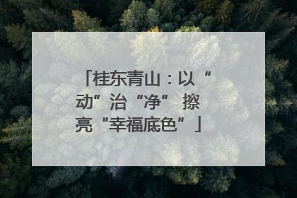 桂东青山：以“动”治“净” 擦亮“幸福底色”
