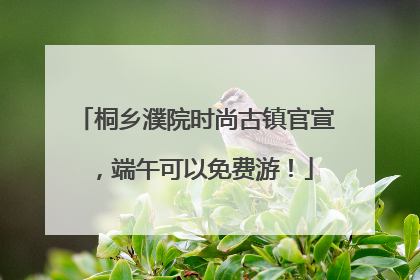 桐乡濮院时尚古镇官宣，端午可以免费游！