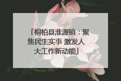 桐柏县淮源镇：聚焦民生实事 激发人大工作新动能